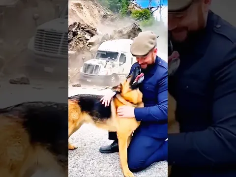 Hero Dog Rescues Truck Driver In Danger 🐶😱 #shorts #youtubeshorts #dog #dogshorts #viralvideo