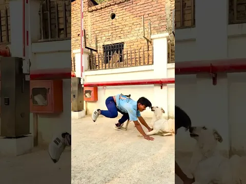 Dog🐶😭ne kaat liya sorry dog #dogshorts #dogvideos #doglife #animals #youtubeshorts