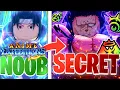 Going From A NOOB To SECRET In Anime Expeditions Roblox