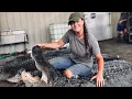 A little more behind the scenes cheyenne pickle wheat