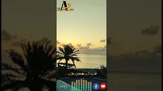 حكاية عاشق وائل كفوري 