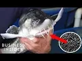 Inside America s Only Beluga Caviar Farm