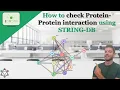 How to check Protein-Protein interaction using String-DB