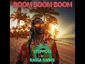 Boom Boom Boom - Stepperz ft. Ragga Ranks (audio visualiser)