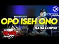 Download Lagu OPO ISEH ONO KARAOKE NADA COWOK / PRIA VERSI KOPLO HIGH QUALITY AUDIO CLARITY
