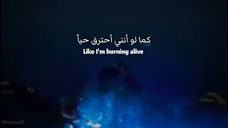 Wildflower Billie Eilish مترجمة للعربية زهرة برية Wildflower Billieeilish Hitmehardandsoft 