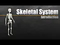 Download Lagu Introduction to the Skeletal System In 7 Minutes