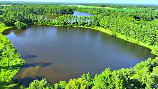 Restoring a 50 Year Old Abandoned Pond! (Next Big Project)