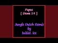 DJ Pupus Jungle Dutch