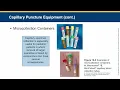 Ch 10 Phlebotomy Essentials 8th Edition lecture