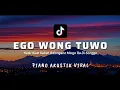 Download Lagu EGO WONG TUWO (LIRIK) KUDU ISO KUAT BALUNGANE TIKTOK ~