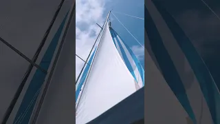 Spinnaker is the best 💯 #sailboats #sailinglife
