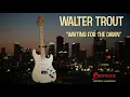 Download Lagu Walter Trout - \