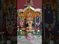 Download Lagu Sri danamma devi pooja at home 🙏🙏 #shorts#viral#tri #trending#video