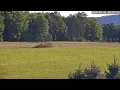 PA Elk Camera 1