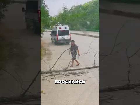 Упавшее ДЕРЕВО перекрыло оживленную трассу 🤯🔥🌳