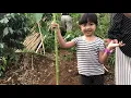 Download Lagu Kian pergi berkebun