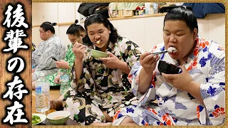 【相撲飯】後輩の存在|コンソメポテト・チャーシュー・餃子『🍚番:許田・恵雅・厚雅』