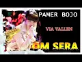 Download Lagu VIA VALLEN - PAMER BOJO OM SERA - LIVE DIANA RIA TEMANGGUNG