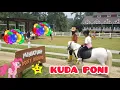 Lagu NAIK KUDA | KUDA PONI MUNGIL CIMORY | LAGU NAIK DELMAN ISTIMEWA