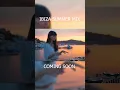 Ibizza summer mix (parody) - DJ too drunk #chill #funny #housemusic