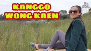 Download KANGGO WONG KAEN - DIAN ANIC ( COVER VIDEO ) MP3