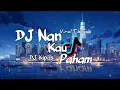 Download Lagu DJ Nan Ko Paham Viral Tiktok | Style Kane