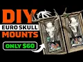 DIY Euro Deer Skull Mounting Display STEP BY STEP Only 60 to make