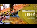 Download Lagu Nature Sounds . Relaxing Sounds . Sound Of A Stream In The Autumn Forest . Relieve stress . HD