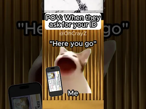 CAT MEMES 🐱 WHEN THEY ASK FOR YOUR ID #relatable #cat #funny #memes #shorts