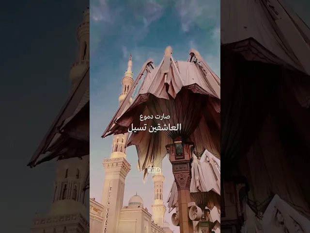 ⁣كلُ القلوب إلى الحبيب تميلُ🩷🌿#ولادة_الرسول_الأكرم #مبارك #القلوب