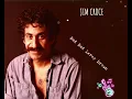 Jim Croce-Bad Bad Leroy Brown(1973)