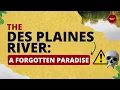The Des Plaines River A Forgotten Paradise Abstract Youth