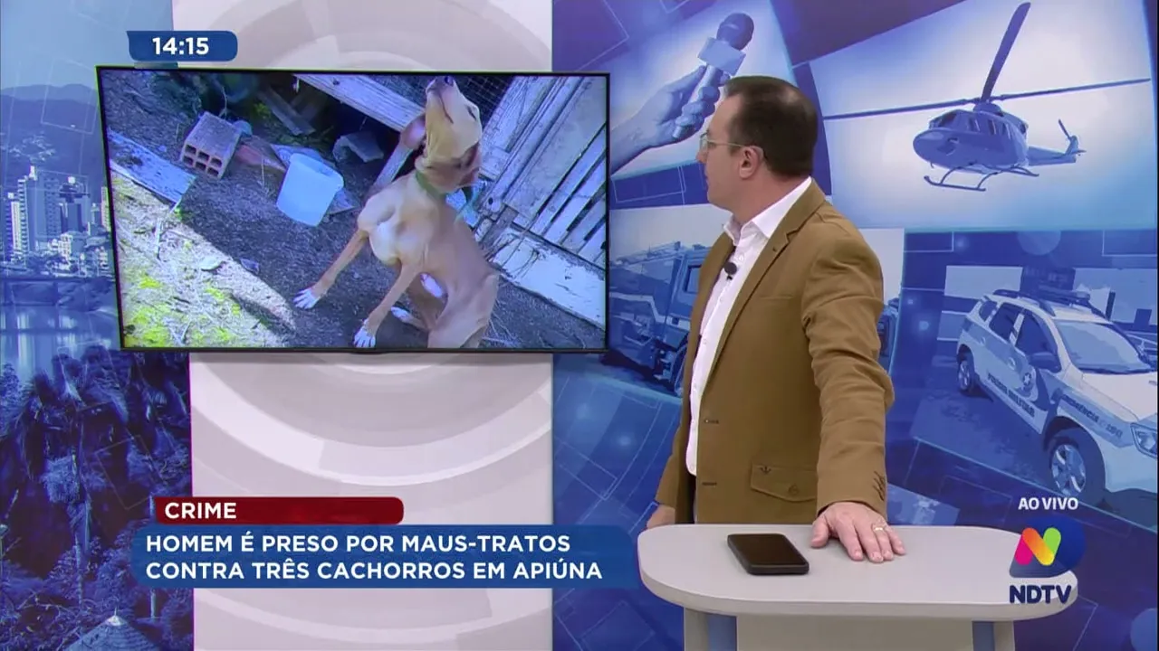 Homem é preso por maus-tratos contra três cachorros em Apiúna