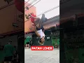 Download Lagu PATAH LEHER PECAH PALA LU #shorts #short #viral #youtubeshorts #trending