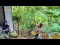 Download Lagu Nikmat sampai nambah lagi, tumis bunga pepaya bumbu terasi,ikan teri goreng, masakan desa 