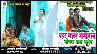 mahar mahar mamhabe mongra kas fool bhagwati tandeshwari kaayaakhandi bhajan 