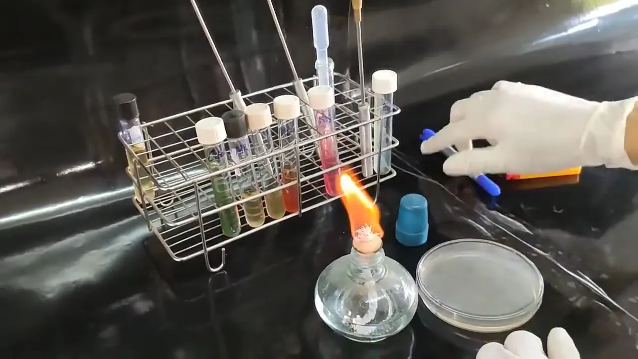Outline Video Cấy ria - Thực hành Vi sinh