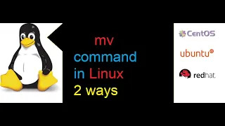 Unlock the Power of the Command Learn How to Rename and Cut-Paste Files in Linux Redhat