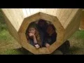 Download Lagu EKA/EAA Interior Architecture - Forest Megaphones