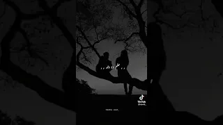  حلات واتس حب  اغنية أهدى ياقبى  هى دى الرنة دندنها