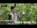 Download Lagu Neeg Siab Phem Thov Txim Tag Siav Mam Tu~08/27/2025~