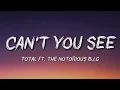 Total [feat. The Notorious B.I.G.] - Can't You See