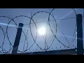 Happy homecoming for hundreds of OK inmates