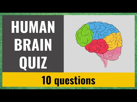 Download MP3 The Human Brain Quiz - Test your knowledge - 10 trivia questions