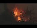 Woodside Fire forces evacuations in Sonoma County