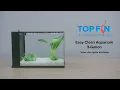Top Fin Easy Clean Fish Tank 3 Gallon Setup YouTube