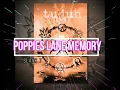 POPPIES LANE MEMORY - SLANK 7 LIRIK https://saweria.co/heary