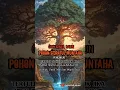Download Lagu Daun Pohon Sidratul Muntaha, Bertuliskan Nama Makhluk, Jika Gugur Jadi Pertanda Ajal Menjemput