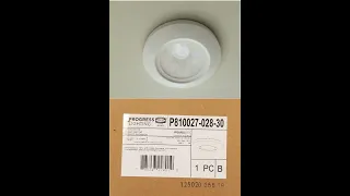 Progress Lighting LED Replacement Model P810027-028-30